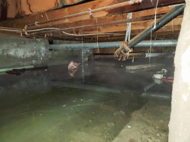 Sewage cleanup and water damage restoration in Iselin, NJ
