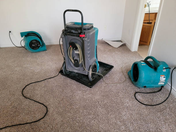 Best Basement water damage restoration  in Iselin, NJ
