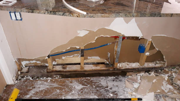 Best 24-hour water damage restoration  in Iselin, NJ