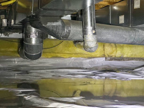 Best Water damage restoration near me  in Iselin, NJ