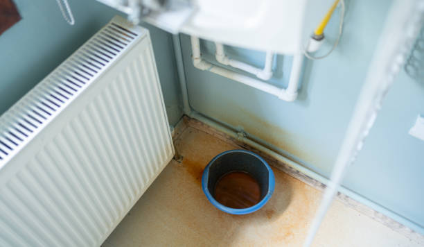 Best Water damage restoration near me  in Iselin, NJ