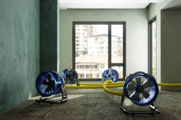 Best Residential water damage restoration  in Iselin, NJ